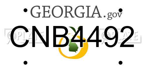 CNB4492 Georgia License Plate