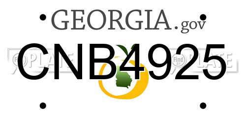 CNB4925 Georgia License Plate