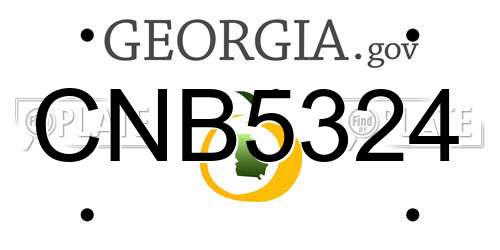 CNB5324 Georgia License Plate