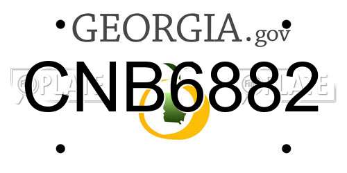 CNB6882 Georgia License Plate