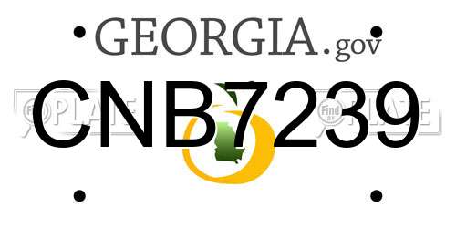 CNB7239 Georgia License Plate