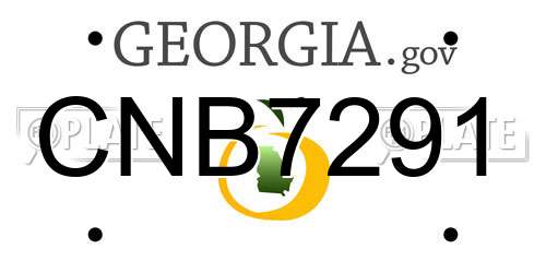 CNB7291 Georgia License Plate