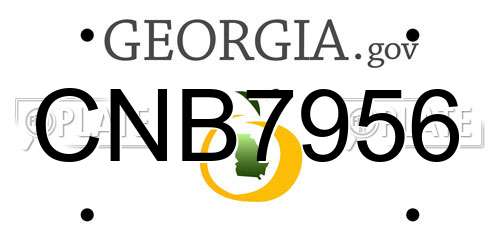 CNB7956 Georgia License Plate