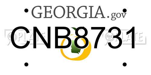 CNB8731 Georgia License Plate