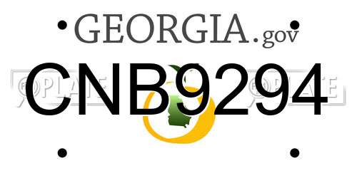 CNB9294 Georgia License Plate