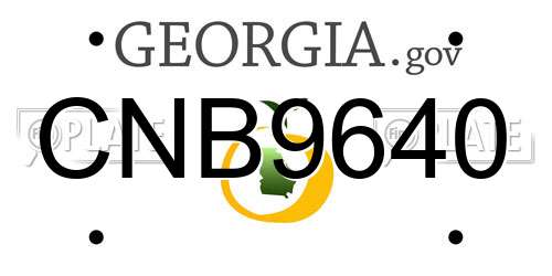 CNB9640 Georgia License Plate