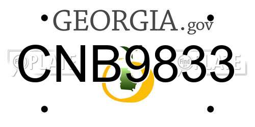 CNB9833 Georgia License Plate