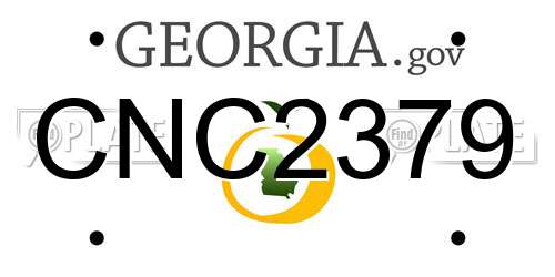 CNC2379 Georgia License Plate