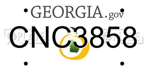 CNC3858 Georgia License Plate