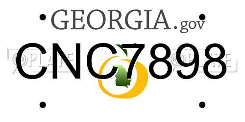 CNC7898 Georgia License Plate