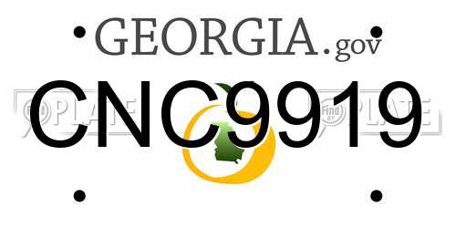 CNC9919 Georgia License Plate
