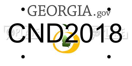 CND2018 Georgia License Plate