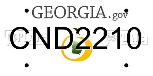 CND2210 Georgia License Plate