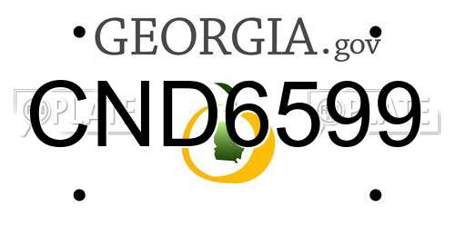 CND6599 Georgia License Plate