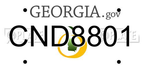 CND8801 Georgia License Plate
