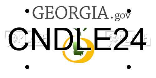 CNDLE24 Georgia License Plate