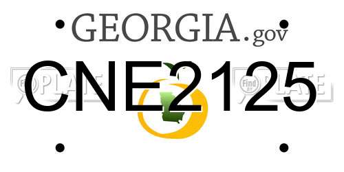 CNE2125 Georgia License Plate