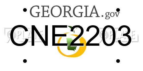 CNE2203 Georgia License Plate