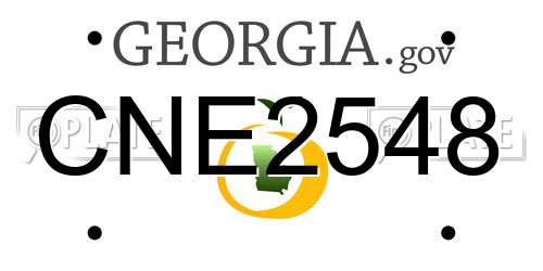CNE2548 Georgia License Plate