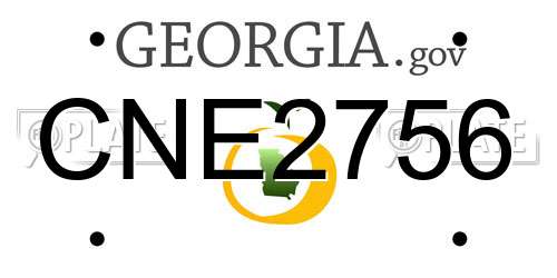 CNE2756 Georgia License Plate