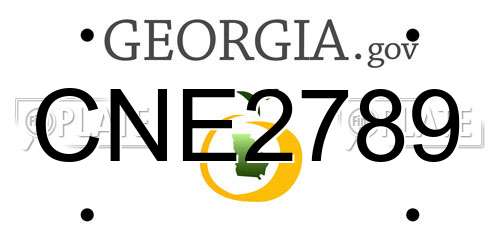 CNE2789 Georgia License Plate