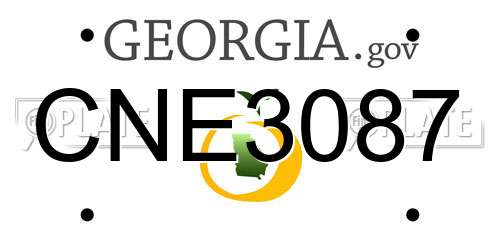 CNE3087 Georgia License Plate