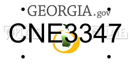 CNE3347 Georgia License Plate
