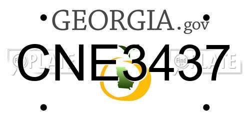 CNE3437 Georgia License Plate