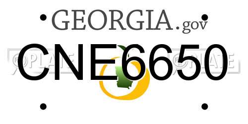 CNE6650 Georgia License Plate
