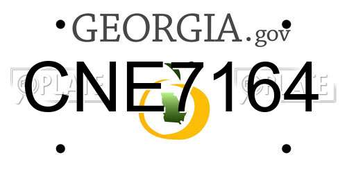 CNE7164 Georgia License Plate