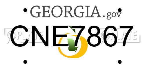 CNE7867 Georgia License Plate