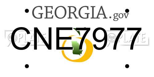 CNE7977 Georgia License Plate