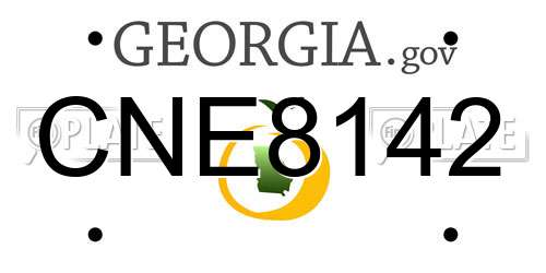 CNE8142 Georgia License Plate