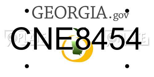 CNE8454 Georgia License Plate