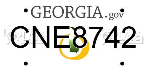 CNE8742 Georgia License Plate