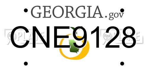 CNE9128 Georgia License Plate