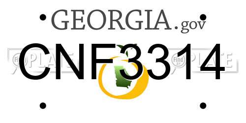 CNF3314 Georgia License Plate