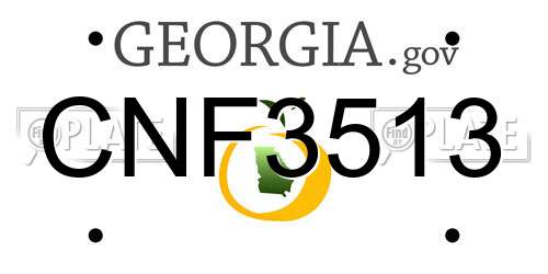 CNF3513 Georgia License Plate