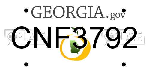 CNF3792 Georgia License Plate