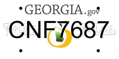 CNF7687 Georgia License Plate