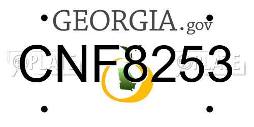 CNF8253 Georgia License Plate