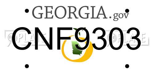 CNF9303 Georgia License Plate
