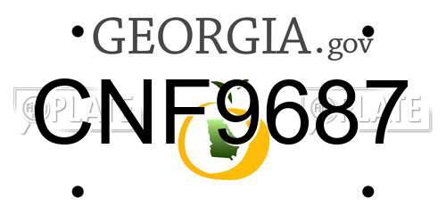 CNF9687 Georgia License Plate