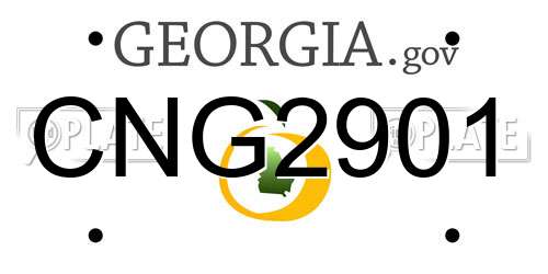 CNG2901 Georgia License Plate