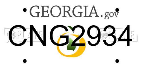 CNG2934 Georgia License Plate