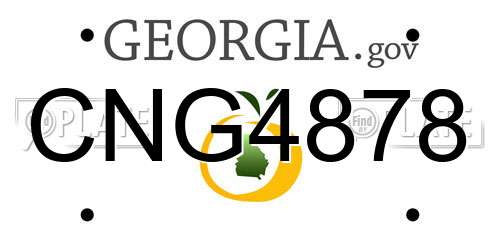 CNG4878 Georgia License Plate