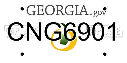 CNG6901 Georgia License Plate