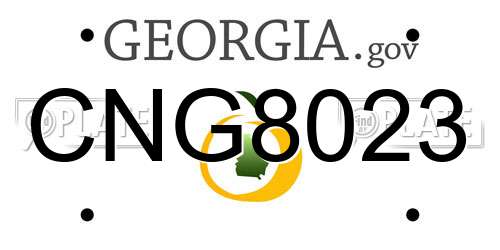 CNG8023 Georgia License Plate