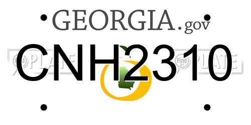 CNH2310 Georgia License Plate