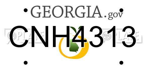 CNH4313 Georgia License Plate